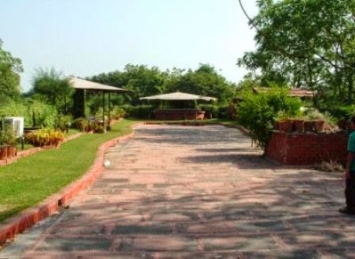 A terrace garden
